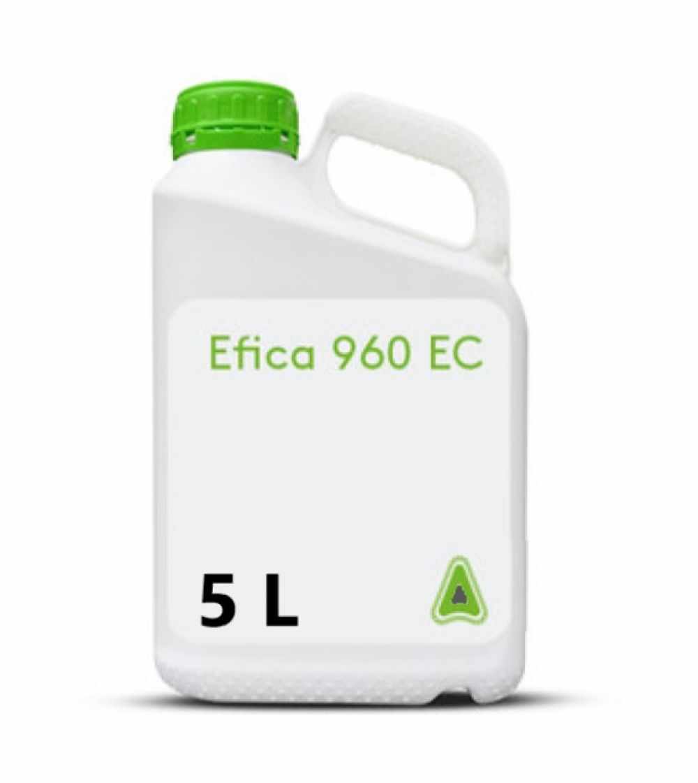 Erbicid Efica 960 EC 5 l